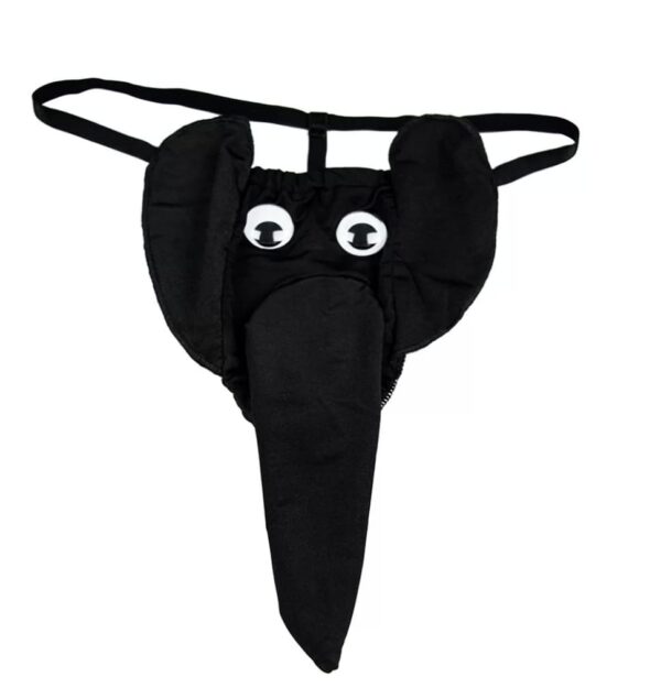 15e4e8b1-6eb1-48f0-a7c6-d628dd11e83b 15e4e8b1-6eb1-48f0-a7c6-d628dd11e83b